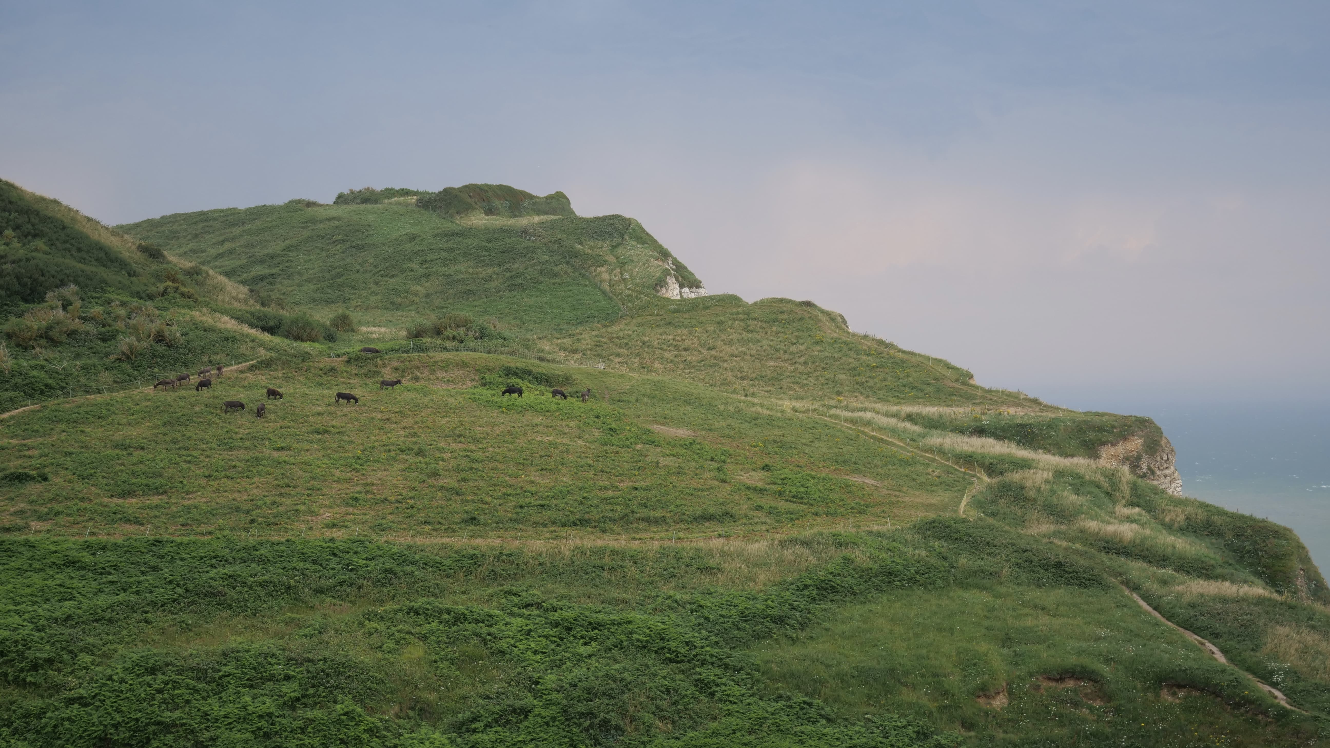 Voyage en van écoresponsable - Location van Bretagne